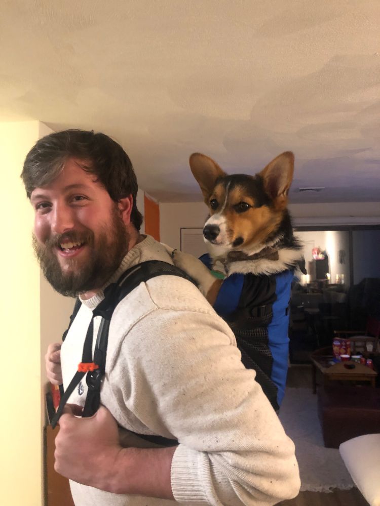 Mumford inside a backpack on my back.