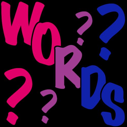 The word "WORDS" Goes diagonally down the image, with two question marks above and tw below. The word and question marks are colored to make the bi flag.