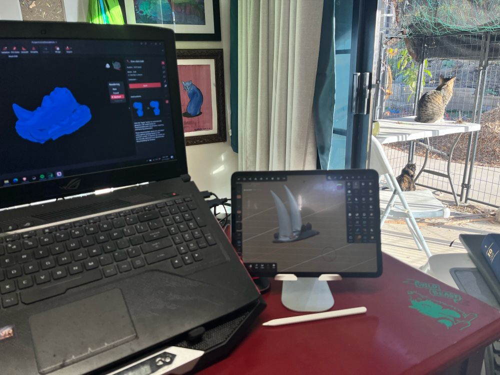 Working on computers next to 2 cats outside in a catio