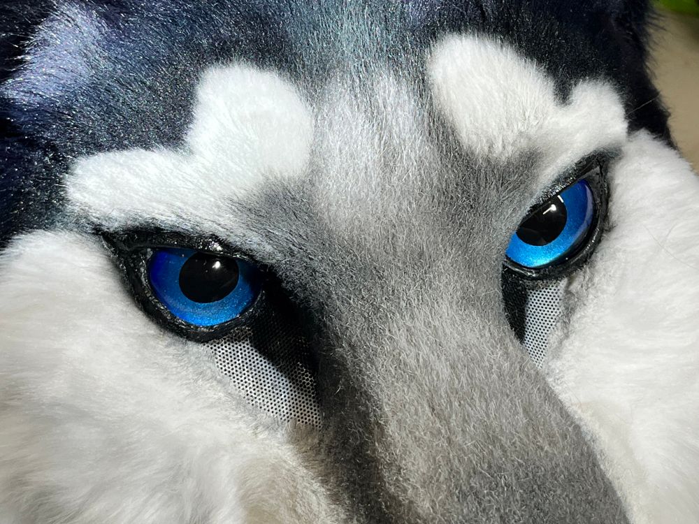 Fursuit head with striking blue eyes
