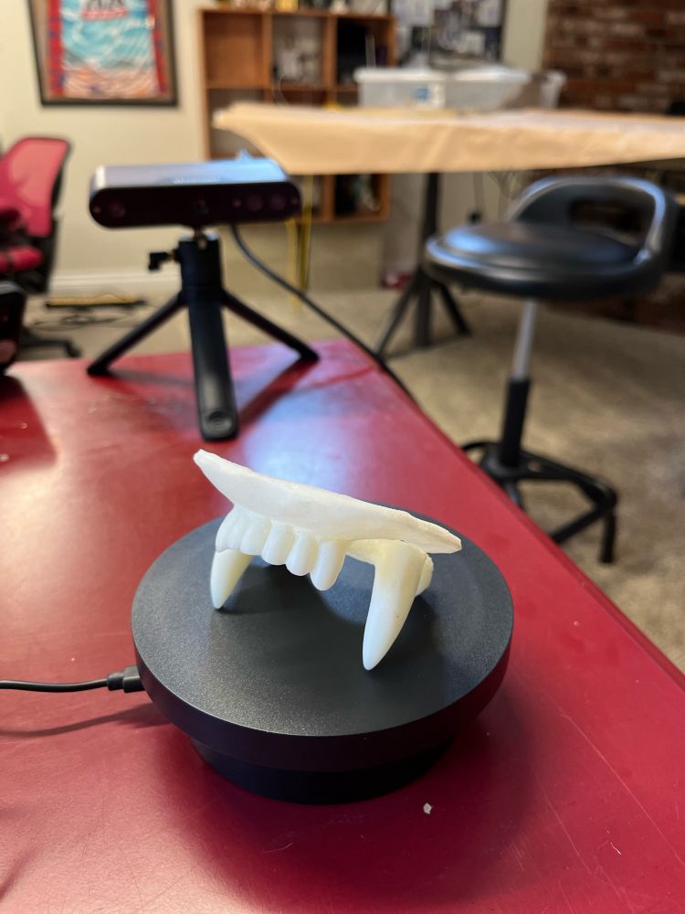 3d scanning sculpted animal teeth