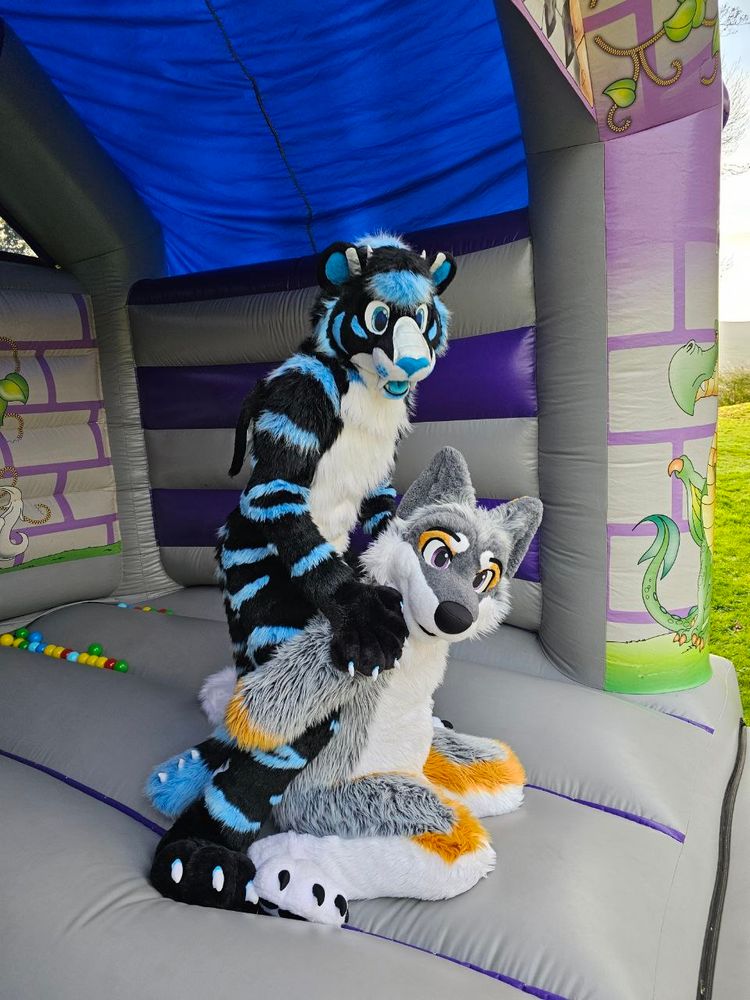 Two fursuiters, Draegarth and Farley, on a bouncy castle.