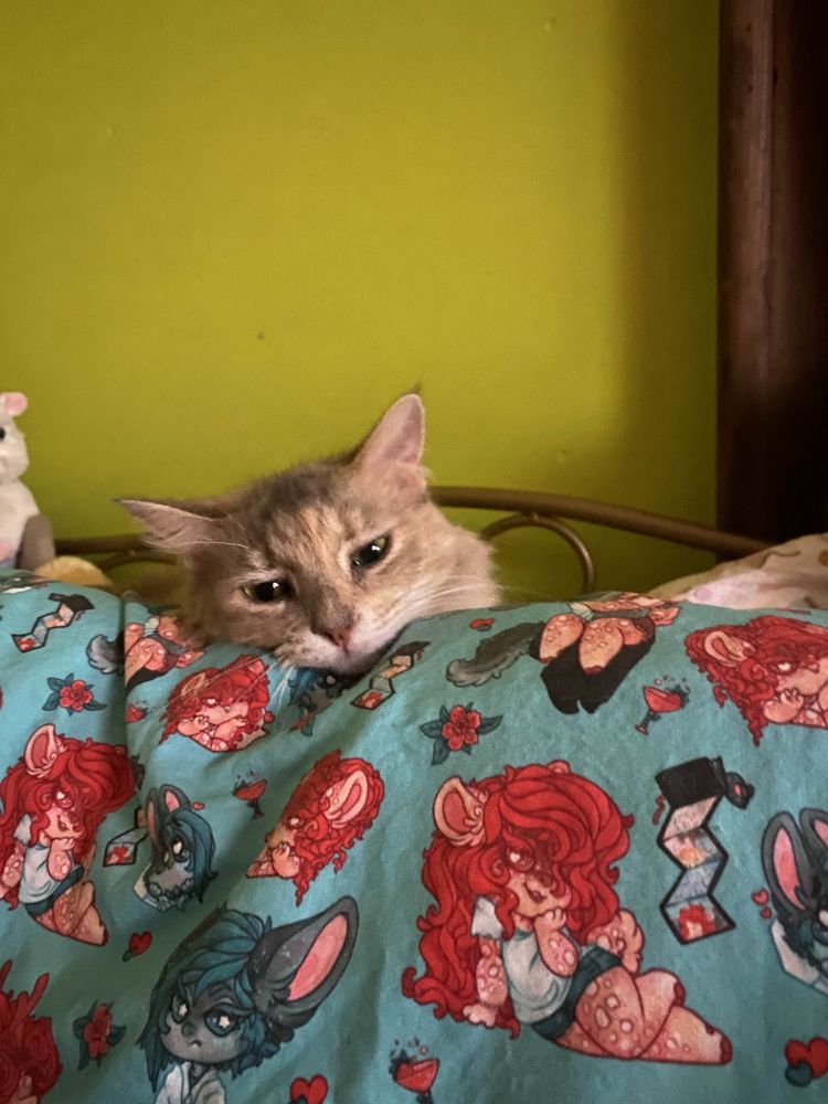 A cute kitty is peeking over a pillow that has a custom pillowcase with a print featuring characters belonging to Rikku & Puck on a blue background with wine glasses, photos in a wallet and flowers scattered around.
Art by Honeypuckle.