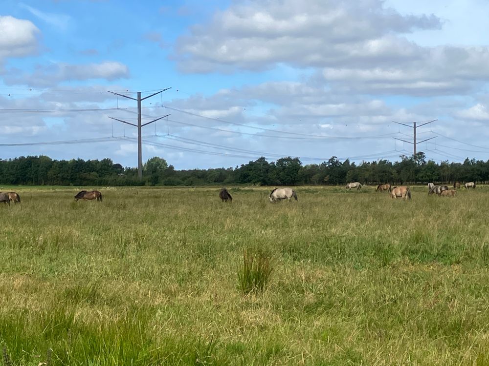 Kragelund Mose, Denmark