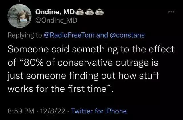 A screenshot of a tweet from the other place that reads "Someone said something to the effect of '80% of conservative outrage is just someone finding out how stuff works for the first time.'"