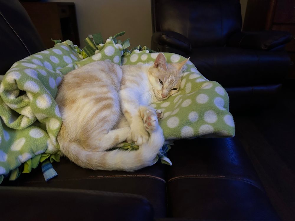 Orange and white cat is snoozing on top of a green blanket with white dots. His eyes are barely open. 