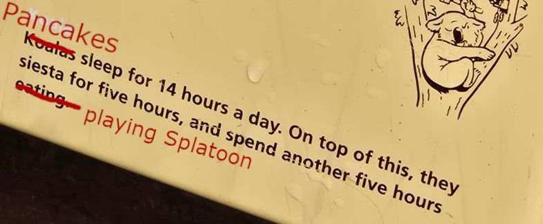 An image from a plaque with the drawing of a koala and some text. The text originally it said "Koalas sleep for 14 hours a day. On top of this, they siesta for five hours, and spend another five hours eating."
The word "koalas" has been crossed out and replaced by "Pancakes", and the word "eating" has been crossed out and replaced by "playing Splatoon"