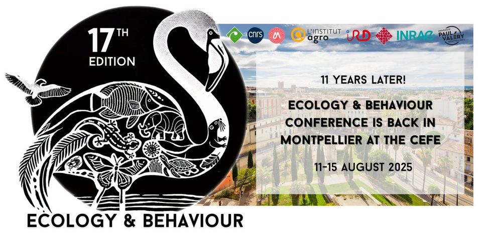 Logo for the 17th Ecology & Behaviour conference that will be hosted in Montpellier, France from August 11-15, 2025. The logo includes a black and white flamingo made up of other animals.
