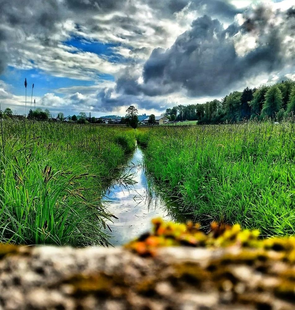 Ein kleiner Bach mitten in der Wiese. Der Himmel ist bewölkt und es kurz vorher geregnet.
