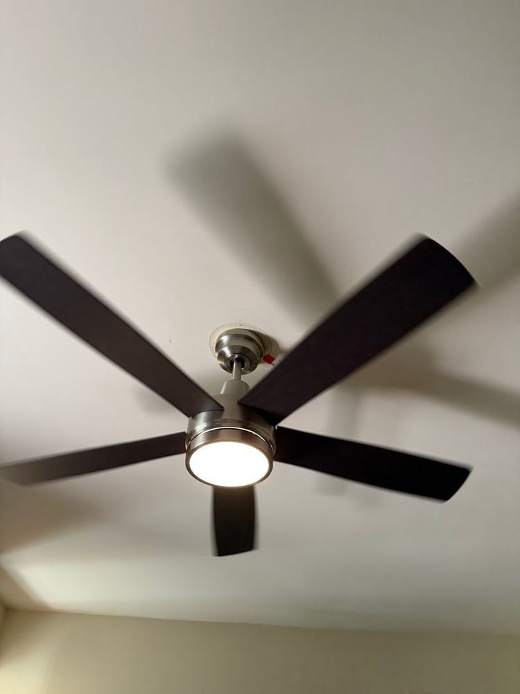 New ceiling fan and light installed and hanging from the ceiling. 