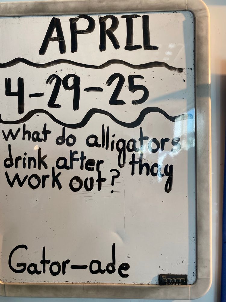 White board with the date and a joke that says, “What do alligators do after they work out? Gator-ade.”