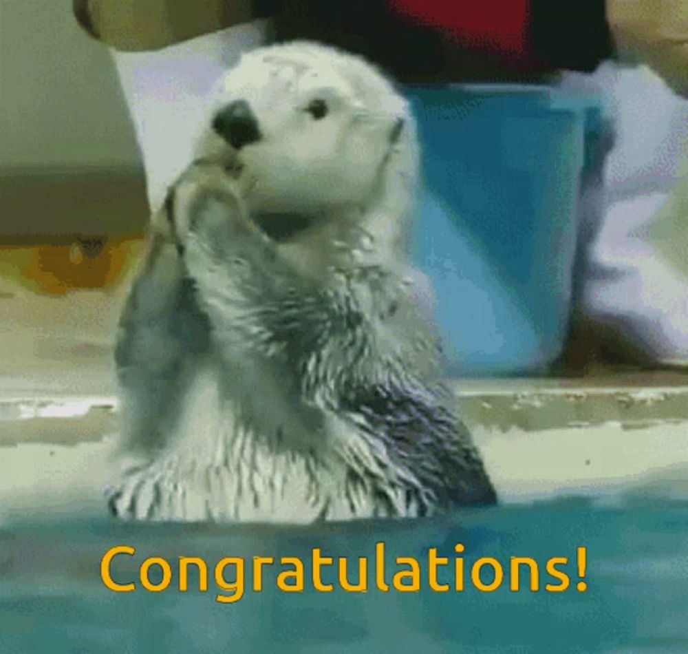 Otter Clapping GIF