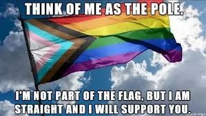 Bild, das eine LGBTQIA+ Flagge zeigt, die vor bewölktem Himmel weht. Caption: "Think of me as the pole. I'm not part of the flag, but I am straight and I will support you." 