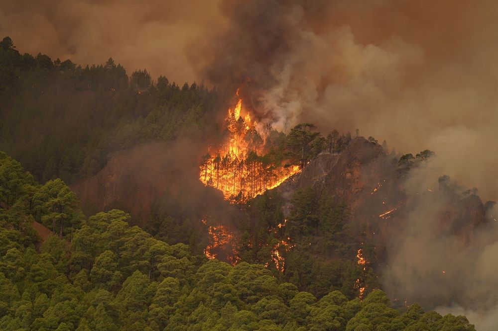 ein großes waldgebiet aus der vogelperspektive, am rand sind dichte grüne bäume die sehr gesund aussehen, in der mitte lodert ein großflächiges feuer, der himmel ist voller rauch