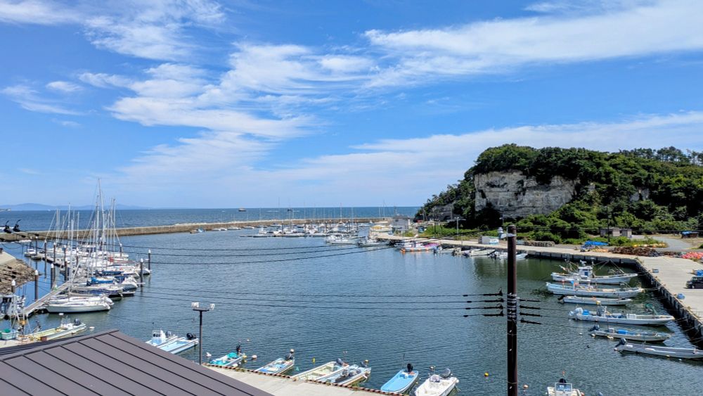 湾にたくさんとまっている漁船
