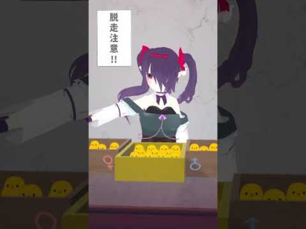 ひよこ鑑定士