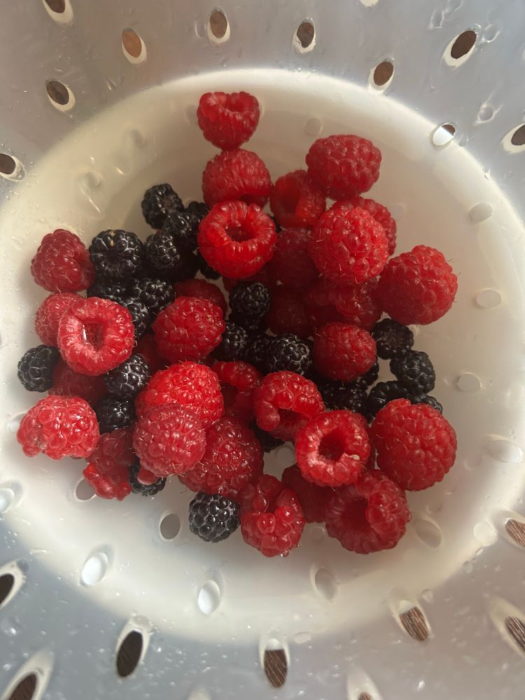 Close up of a white strainer with a mix of red raspberries and smaller black raspberries, picked moments ago in my backyard. 