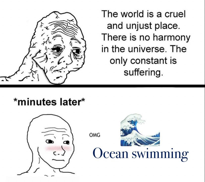 Meme with sad looking person at the top saying the world is a cruel and unjust place. There is no harmony in the universe. The only constant is suffering. Bottom panel: “minutes later” delighted person, the words omg. I added the ocean wave emoji and the words “ocean swimming”. 