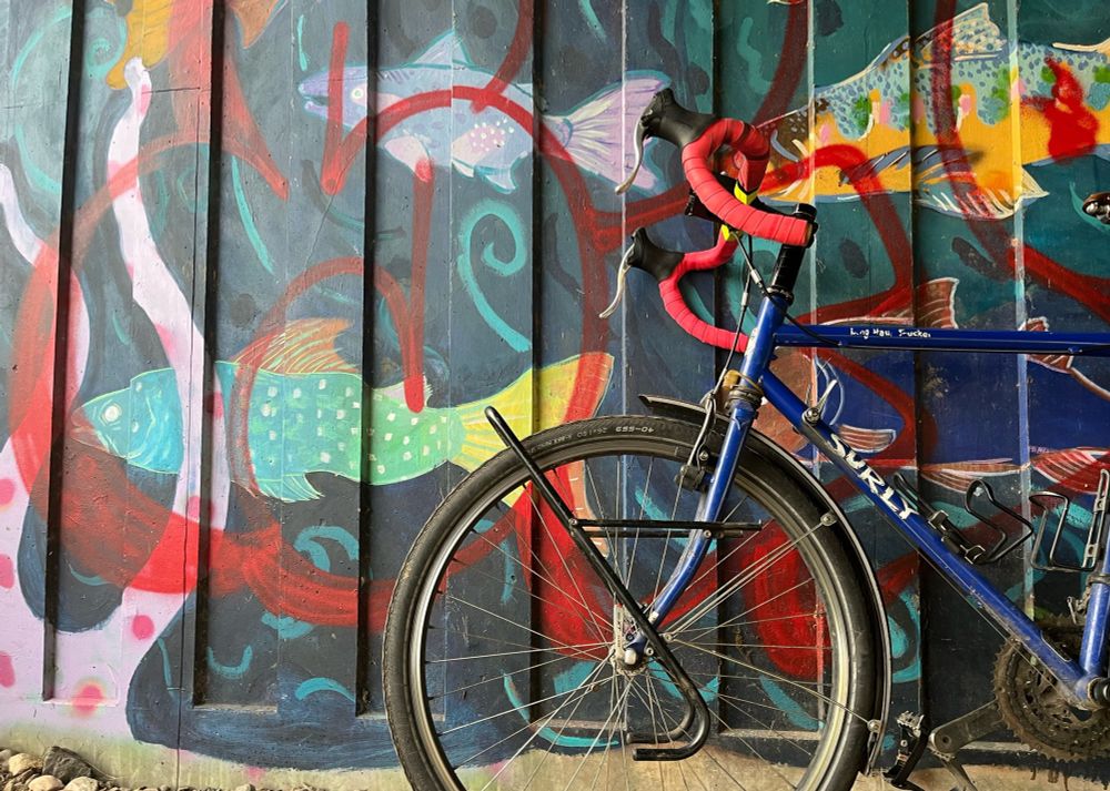 A bike against a wall with fish and graffiti painted over