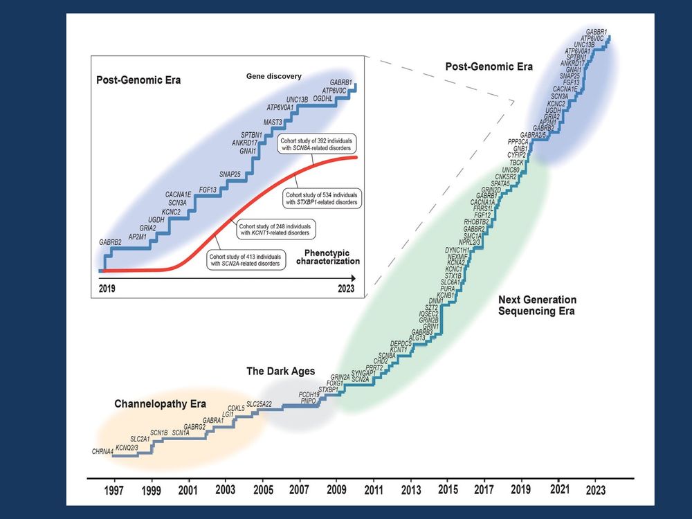 The history of epilepsy genetics. Over the last three decades, epilepsy genetics has moved from initial gene discovery, a period of stagnation, gene discoveries through next generation sequencing technologies, to the current post-genomic era where detailed description of phenotypic features and translation into therapeutic modalities current represent the main challenges (modified from Ruggiero et al., 2023). These various transitions would not have occurred without the ongoing involvement and guidance of the ILAE Genetics Commission.