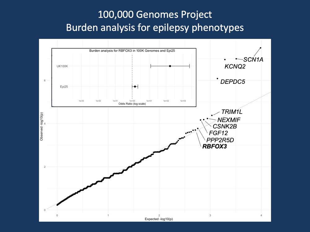 Figure 1. Burden analysis of rare variants in 34,000 individuals of the 100,000 Genomes Project before applying additional prioritization filters. Well-established epilepsy genes including SCN1A, KCNQ2, and DEPDC5 show strong associations, including associations through different analysis methods (duplicate dots for SCN1A). This QQ plot was generated from the Open Access Supplemental Data by Cipriani and collaborators. The insert compares data from the 100K Genomes Project to raw Epi25 data from the Epi25 browser.