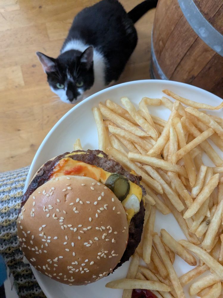 A black and white cat stalks a burger from below.