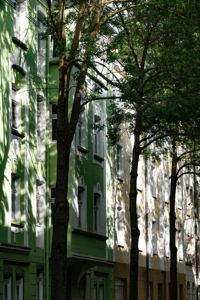 Das Bild zeigt eine grün-weiße und eine beige-weiße Hausfassade. Davor stehen drei dünnstämmige Bäume. Die Sonne scheint durch die Blätter der Bäume und wirft Schatten auf die Hausfassaden. 