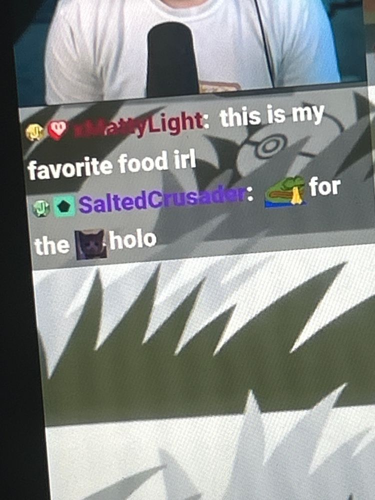 Twitch chat message sent by me that reads 