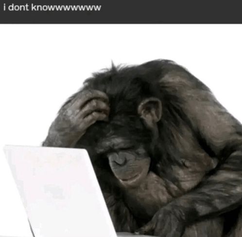 monkey at laptop scratching head confused very sad. text says “i dont knowwwww”