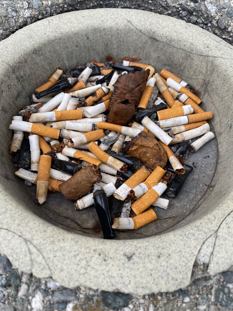 Cigarettes and cigars in an ashtray