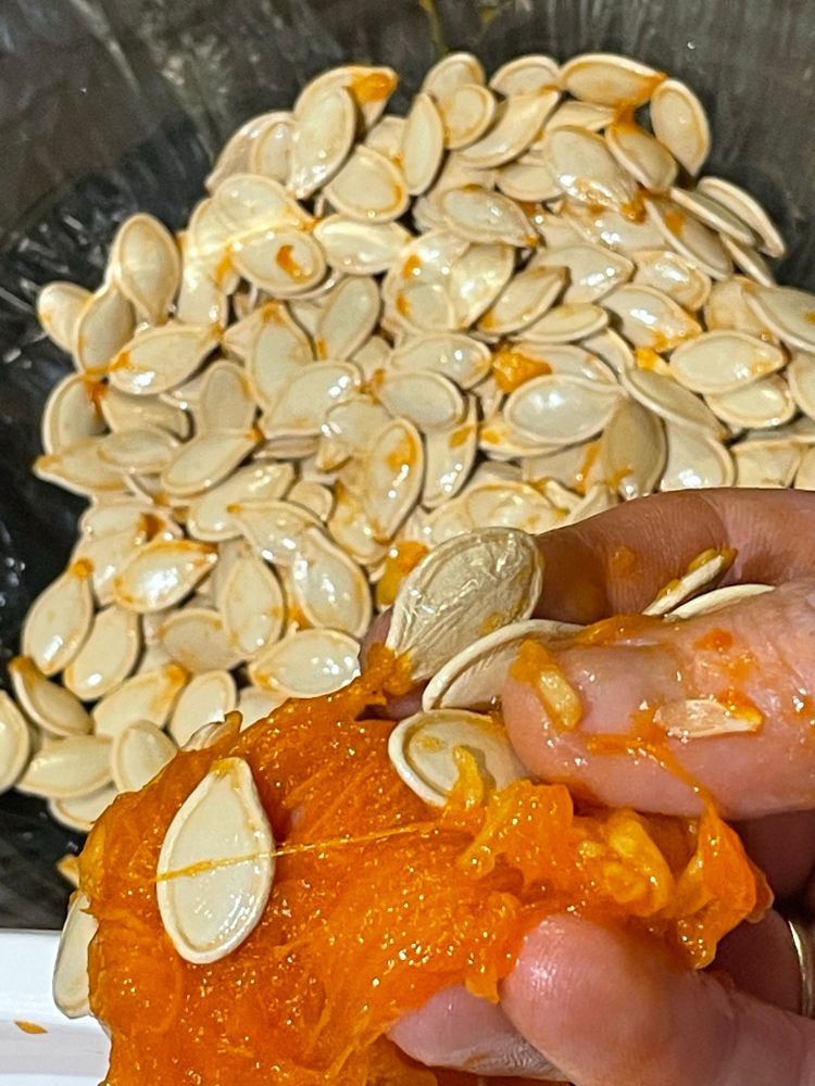 A close up of pumpkin guts and seeds