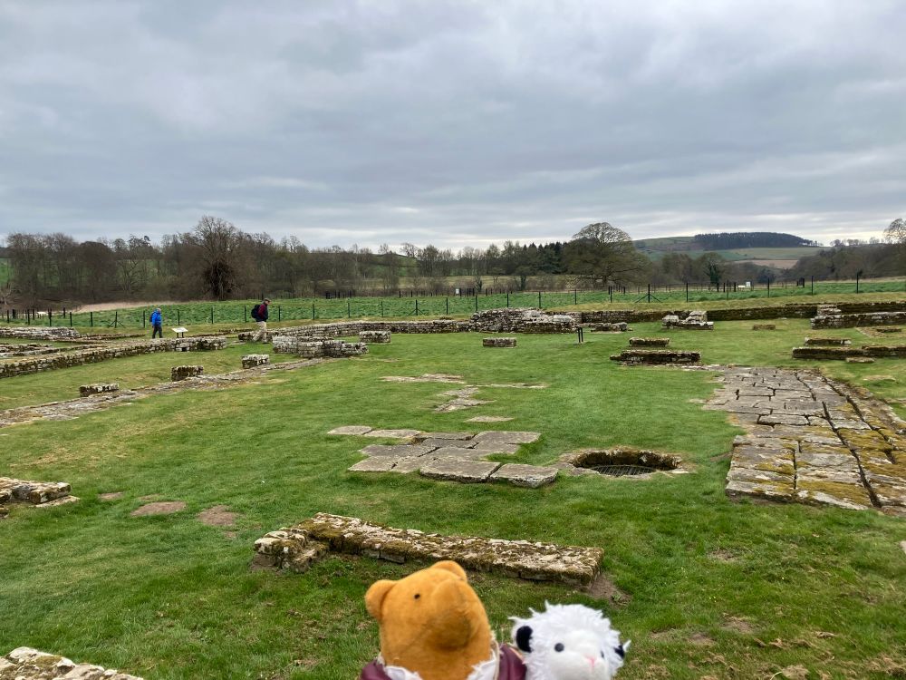 Bilbo bear and Samwise sheep at Chesters fort