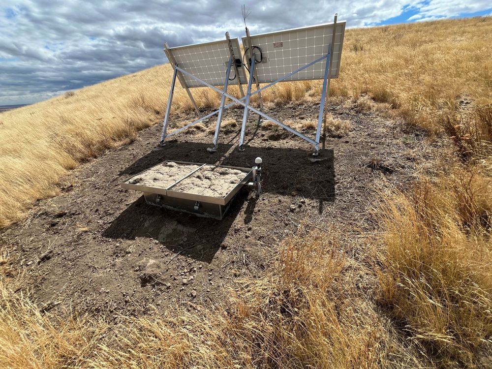 Two solar panels from the back surrounded by short shrubby grass. Behind them is a box covered in dirt with an antenna attached to it. 