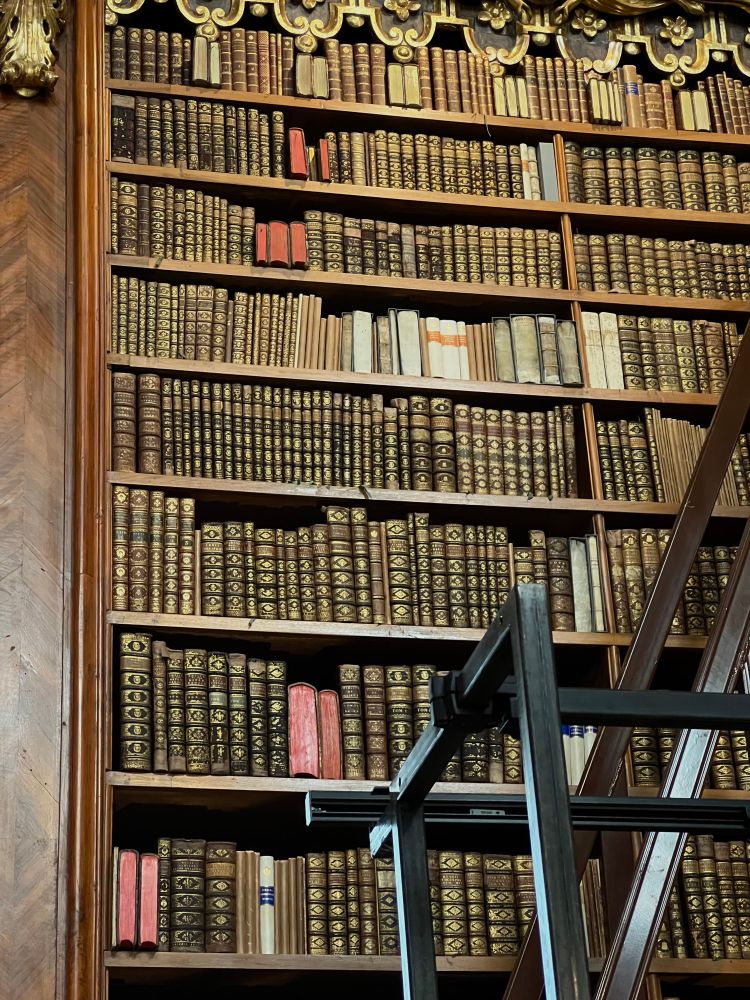 A tall wooden bookshelf filled with ornate, gold-tooled leather-bound books inside the National Library of Austria. Some books are laid on their bookbloks, exposing the red block sides.