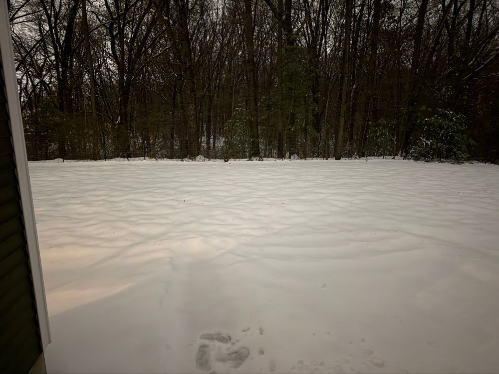 A snow covered backyard ending at a forest. 