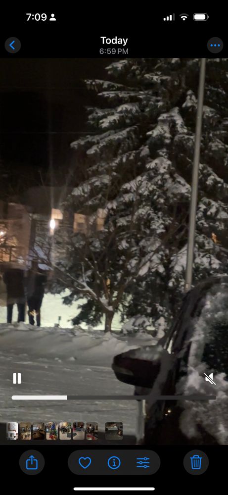 Xmas tree without lights then magically the lights appear - #HappyHolidays #canada 🇨🇦