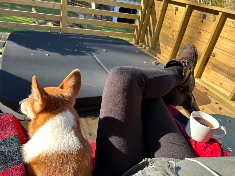 A corgi is shown sitting in a chair next to his human. They are both sitting on a red and black checkered blanket and a cup of tea can be seen on the arm of the chair. 