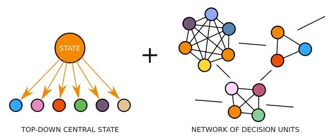 Cartoon of a top-down central state combined with a local network of decisions units.