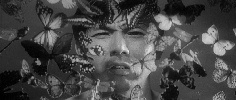 Joe Shishido surrounded by dead butterflies in BRANDED TO KILL (1967)