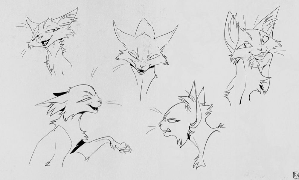 Evil cat expressions