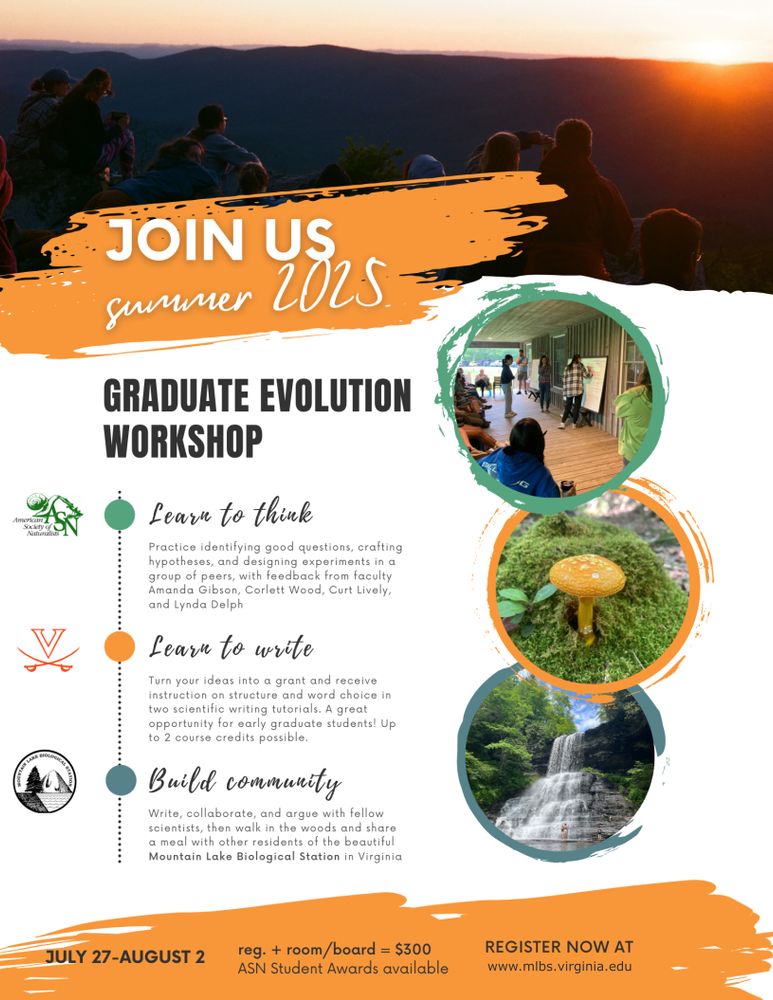 Flyer with images and text describing the environment, goals, and details of the workshop.