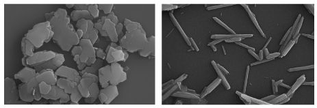 The image is of 2 SEM images of kaolin. Kaolin plates on the left and kaolin tubes/laths on the right.