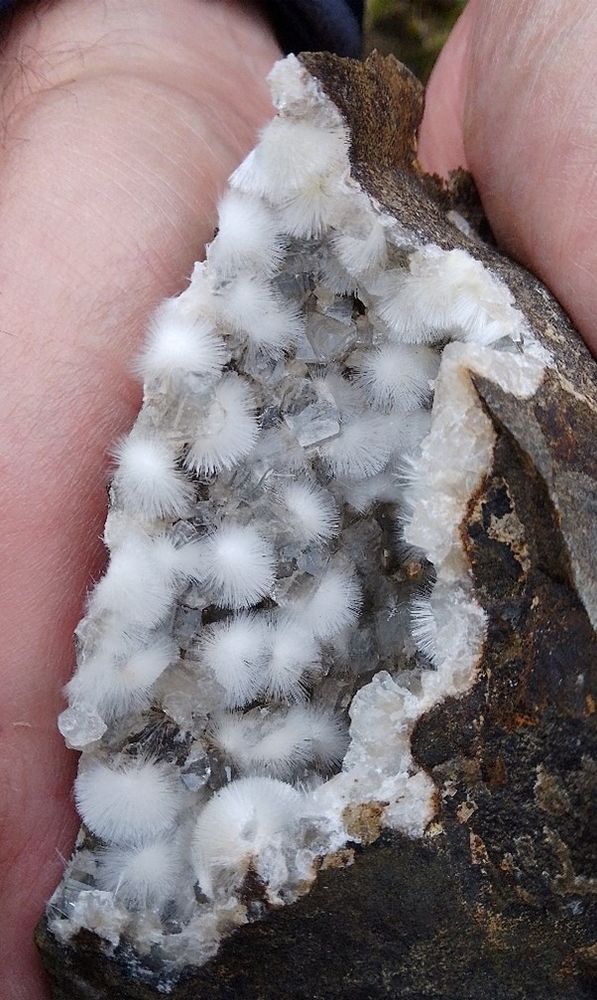 Image of a persons hands holding a specimen of sprays of natrolite encrusting chabazite.