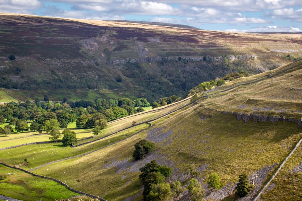 A sweeping view of a sunlit valley in the Yorkshire Dales, featuring gently sloping hills with scattered stone walls and lush green fields; a patch of trees follows the valley floor while rugged moorland rises in the distance under a partly cloudy sky.