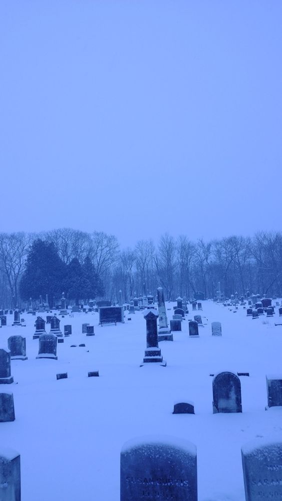 a photo of a graveyard, covered in snow, the sky blotted out in white, with a blue tint to it all
