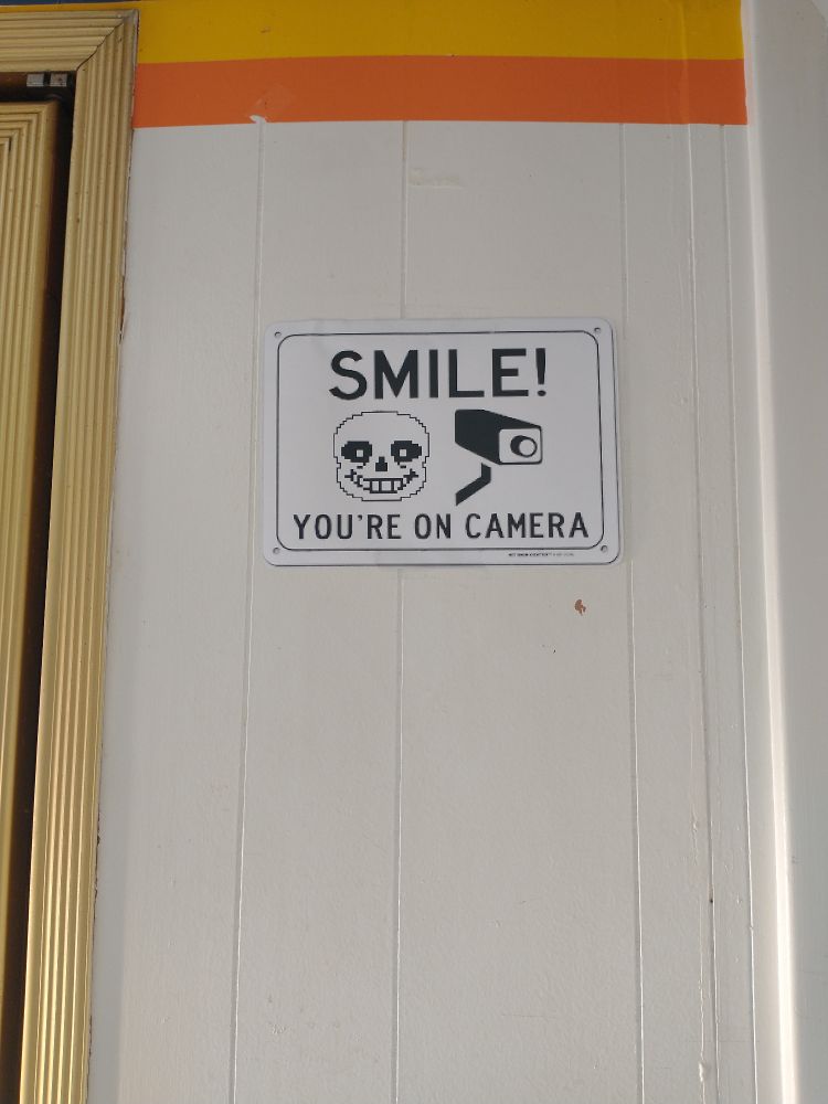a 'smile! you're on camera' sign with sans from undertale on it