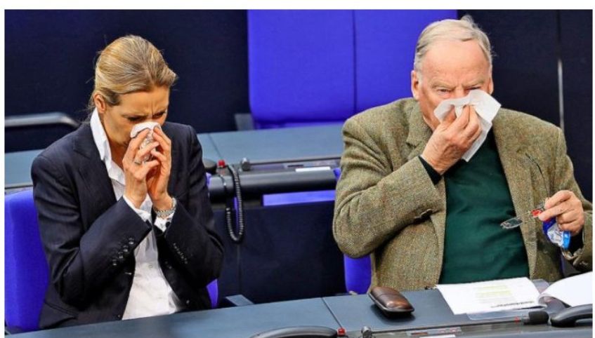 Weidel und Gauland im Bundestag, wie sie sich mit einem weißen Taschentuch die Nase putzen.