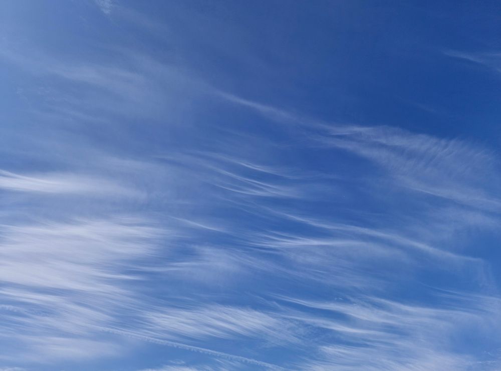 파란 종이에 흰물감으로 붓질 한 듯한 하늘