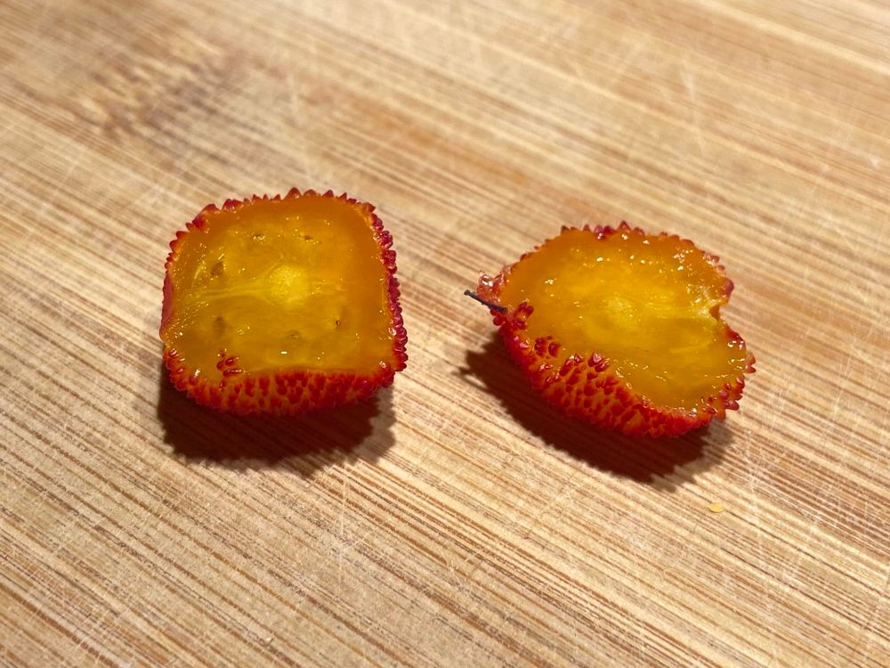 The fruit cut in two exposing the golden yellow jelly like inside.