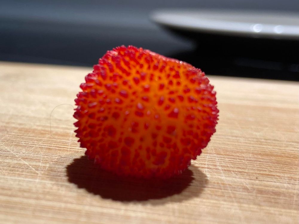 The fruit of the strawberry tree. Vaguely strawberry like in size and shape. It’s golden yellow under red spiky bumps. 